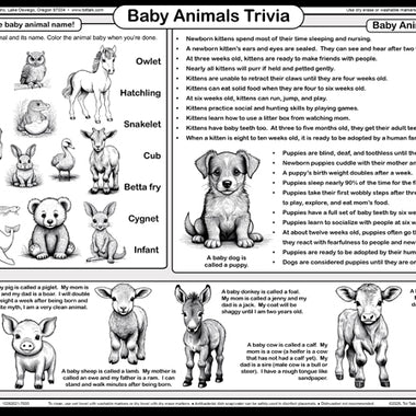 Animal Families Placemat back — animal matching activity, baby animal trivia, and wipe-clean coloring page for preschool learning.