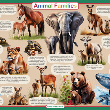 Animal Families Placemat