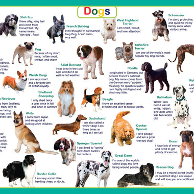 Dogs Placemat