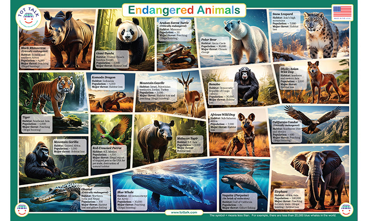 Endangered Animals Placemat