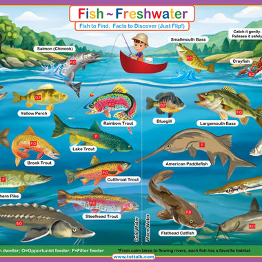 Fish ~ Freshwater Placemat