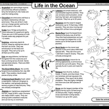 Ocean life placemat coloring page with sea animal facts