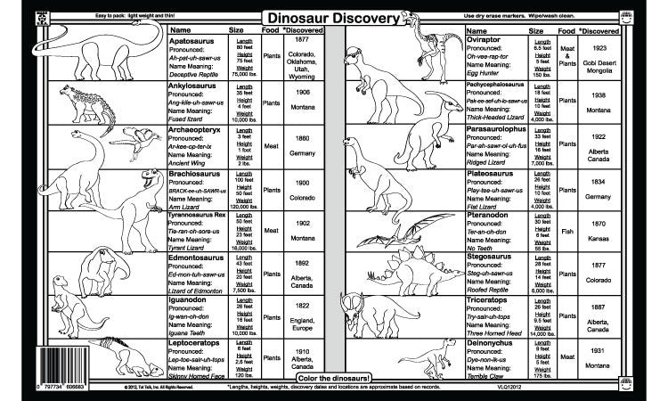 Dinosaurs Placemat Back