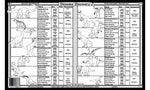 Dinosaurs Placemat Back