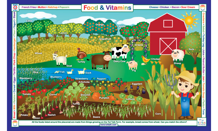 Food Groups & Vitamins Placemat