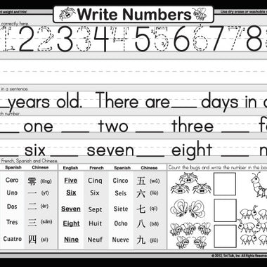 Count Bugs placemat back: number writing practice and multilingual counting
