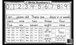 Counting Bugs Placemat Back