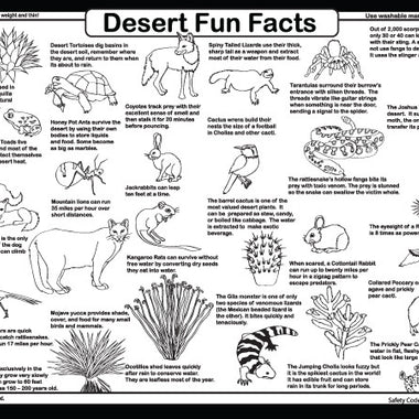 Tot Talk Desert Life Placemat Back – educational facts and activities about desert animals and plants