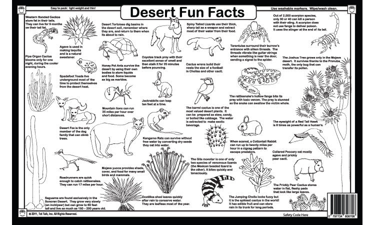 Desert Fun Facts Placemat