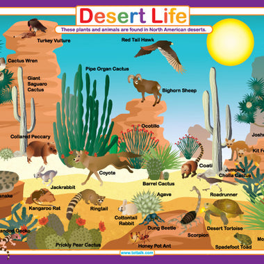 Tot Talk Desert Life Placemat Front – illustrated desert animals, cacti and plants for kids’ learning