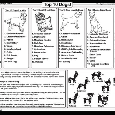 Dogs Placemat back side featuring Top 10 dog lists, dog language chart, and adoption guide