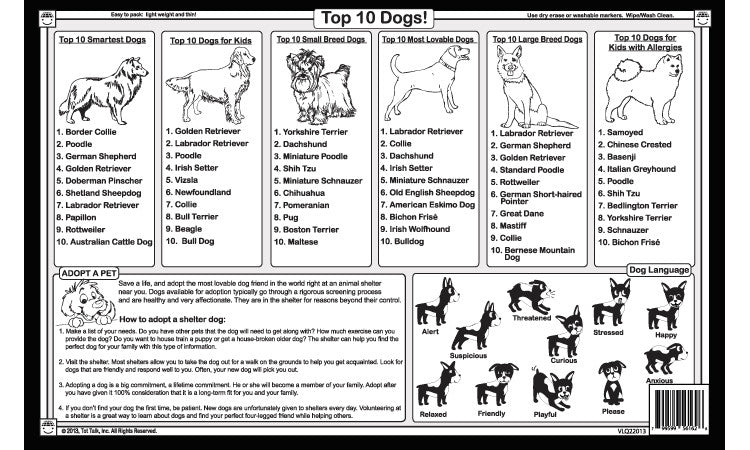 Top 10 Dogs Placemat for kids