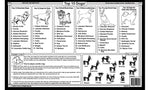 Top 10 Dogs Placemat for kids