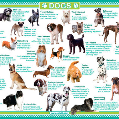 Tot Talk Dogs Placemat front with illustrated dog breeds and fun facts