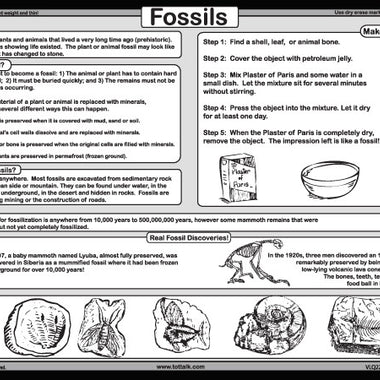 Tot Talk Fossils Placemat back – fossil formation steps, real fossil discoveries, and DIY fossil activity.