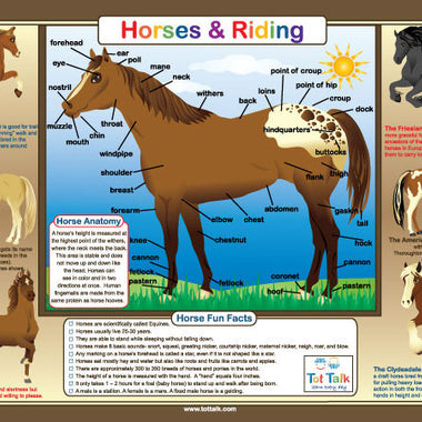 Tot Talk Horses & Riding Placemat Front – labeled horse anatomy and horse breeds for kids