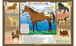 Horses & Riding Placemat