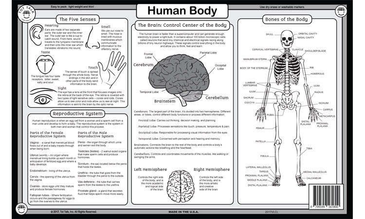 Human body back Placemat