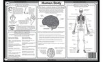 Human body back Placemat