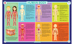 Human Body Placemat