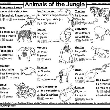Explore the Jungle placemat back side with multilingual animal names
