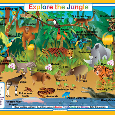 Explore the Jungle placemat front side with colorful rainforest animals