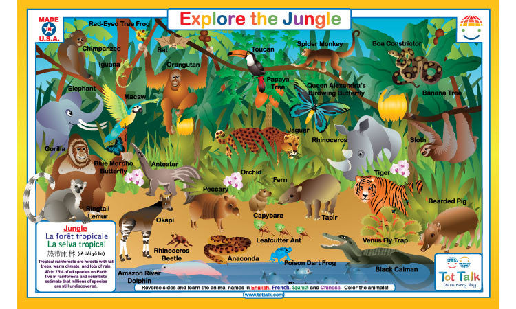 Explore the Jungle Placemat