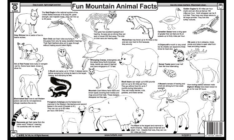 Mountain Animal Facts Placemat