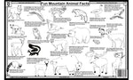 Mountain Animal Facts Placemat