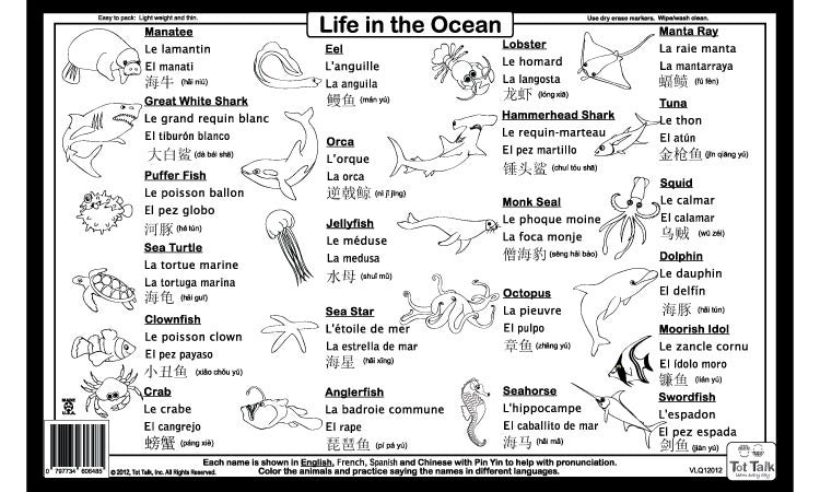 Ocean Placemat Back