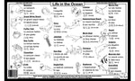 Ocean Placemat Back
