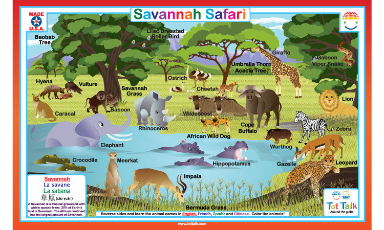 Savannah placemat