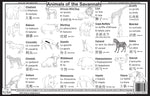 Savvanah placemat back