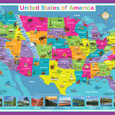 United States of America Placemat