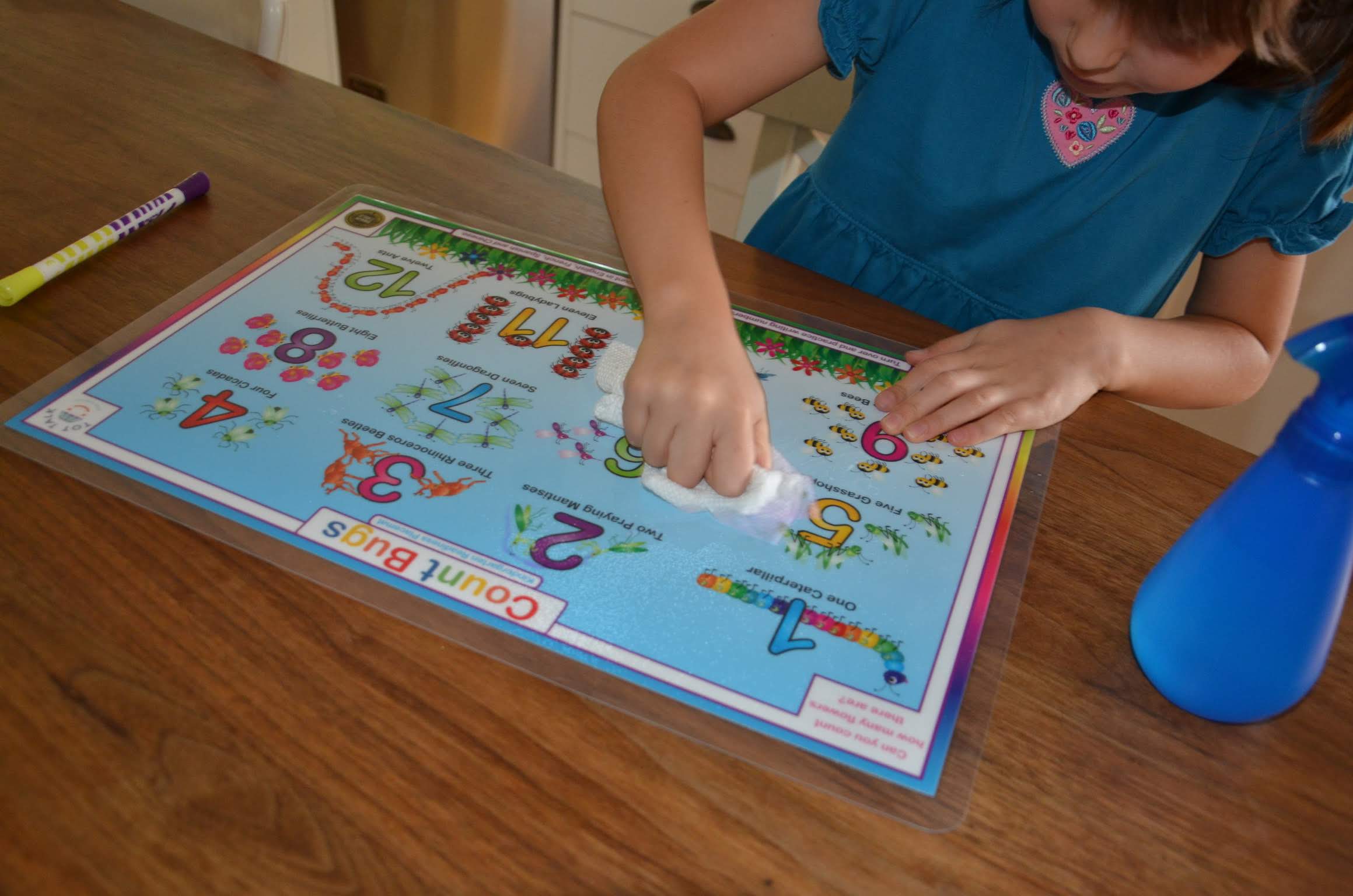 Tot Talk Wipeable Placemats for Cost-Effective Dining Decor