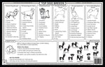 Dogs Placemat