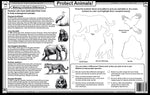 Endangered Animals Placemat