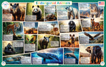 Endangered Animals Placemat