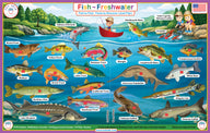 Fish ~ Freshwater Placemat