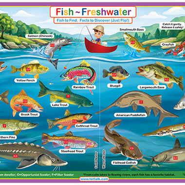 Freshwater fish learning placemat showing lake fish species and bait types for kids 