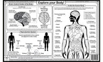 Human body learning placemat back with brain diagram, internal organs and anatomy coloring activity