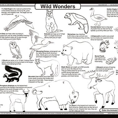 Mountain Wildlife placemat back with wild animal facts and coloring activity for kids