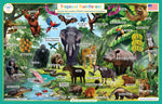 Tropical Rainforest Placemat