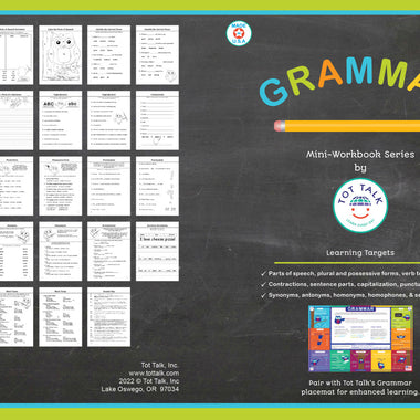 Grammar Mini Workbook