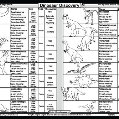 Dinosaurs Placemat Back
