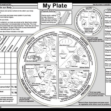 Food Groups & Vitamins placemat back — My Plate nutrition guide and vitamin information for kids.