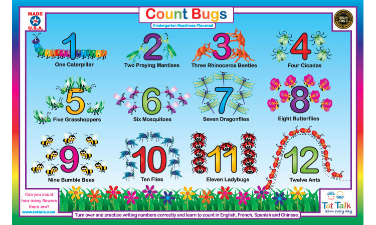 Count Bugs Placemat