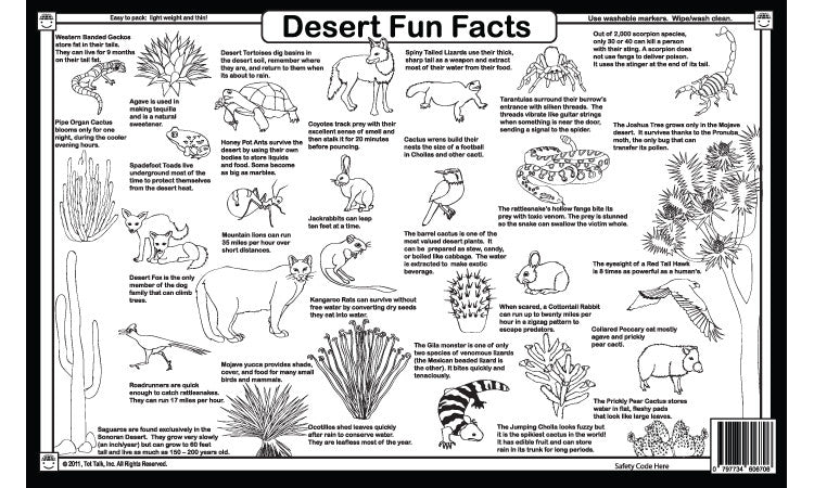 Desert Life Placemat