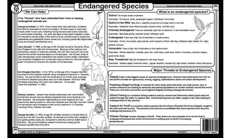 Endangered Animals Placemat