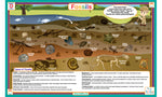 Fossils Placemat